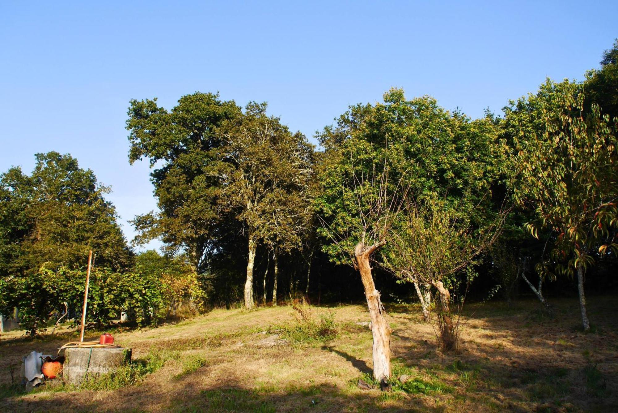 Casa Ermitas - Relajate En Plena Naturaleza A Estrada Eksteriør bilde